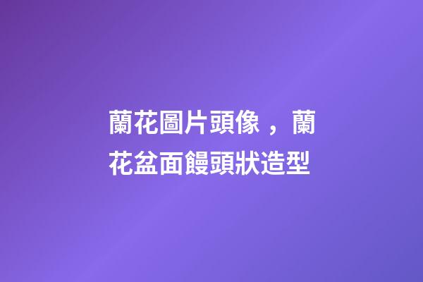 蘭花圖片頭像，蘭花盆面饅頭狀造型-第1張-觀點(diǎn)-玄機(jī)派
